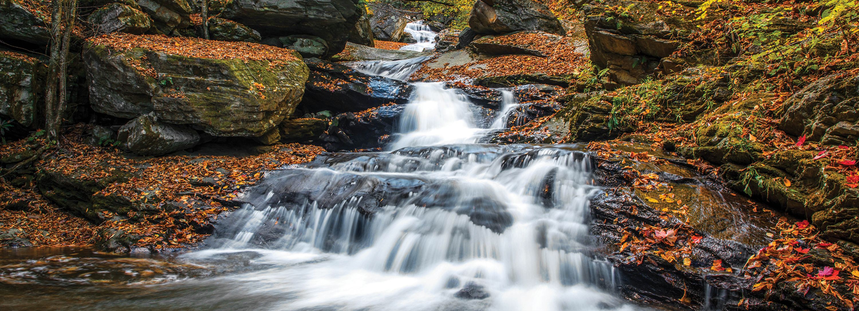 Valle Crucis Mast General Store